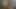 Kıllı kaslı adam mastürbasyon yapıyor. Büyük yarak ellerim olmadan boşalıyor.