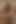 Stacie Jaxxx azgın amcığını büyük dildo ve vibratörle oynamayı seviyor