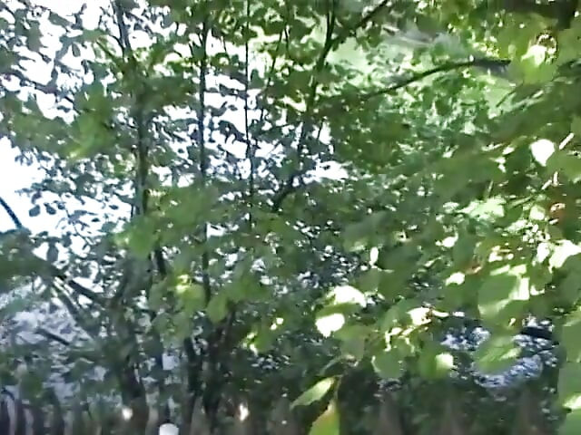 Brunette amateur teen dick sucking and getting pov fucked