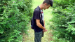 Pratinjau video