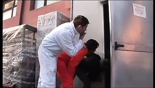 Garip fırsatlar - DVD