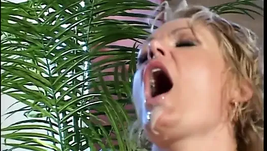 Blonde milf bekommt hardcore-muschi-fick auf dem sofa mit dem fetten schwanz eines hengstes