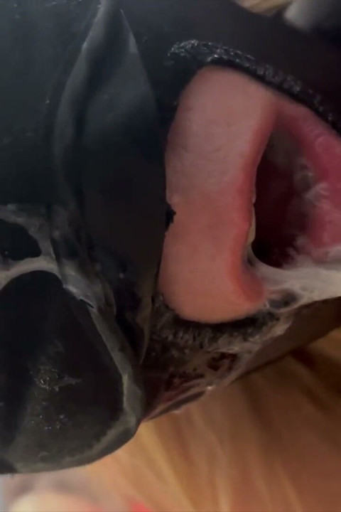My Mouth Offered for Deep Throat and Get Filled with Cum Like a Whore