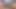 Roxetta azgın bir genç erkek avcısı. roxetta, andrew andretti - sapık orta yaşlı seksi kadınlar