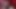 Different Shades of Madame Zarah