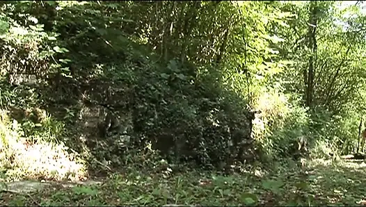 Sıkı amcıklı harika kız olgun bir yarakla sikiliyor ve küçük göğüslerine boşalıyor