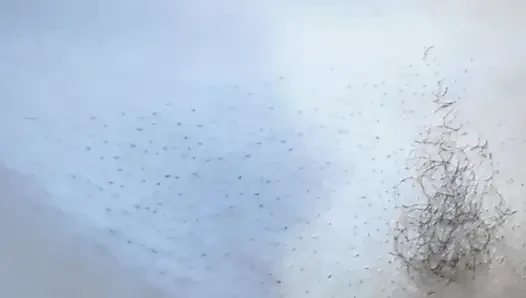 Играю с моим вибратором в тире