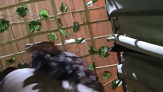 first time boyfriend ne sil tood di