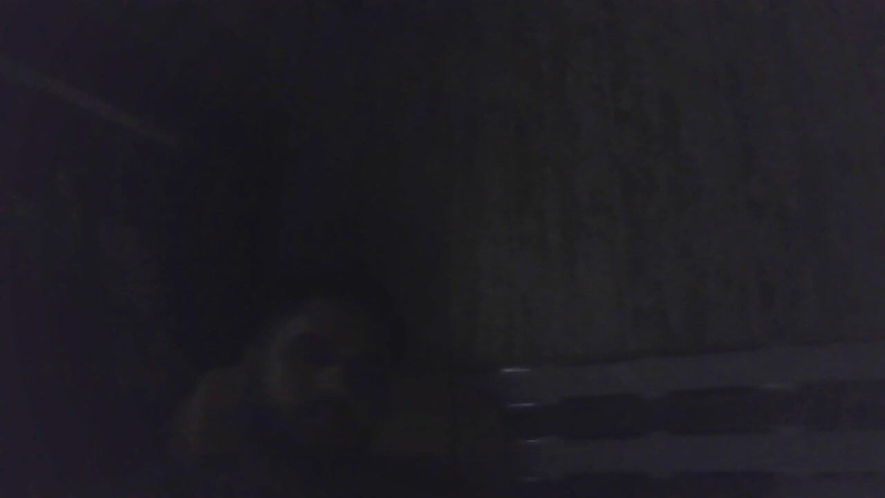 dsfvd dg dgs sdg s sgd s s sf v