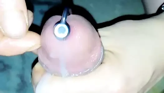 penis