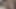 Ateşli çift sikişiyor ve seksi amına boşalıyor