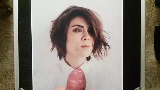 Dürüst tegan quin haraç 1
