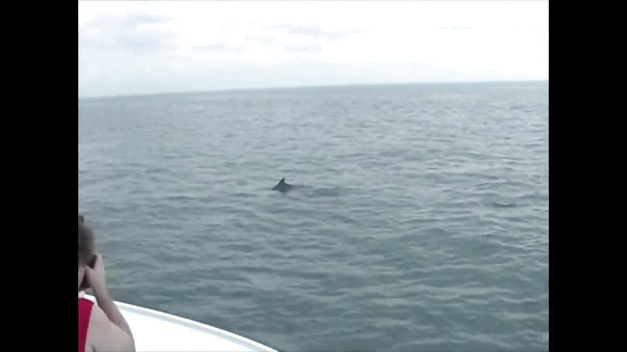 船上的三个女同性恋者互相得到它。