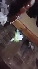 Mongolian girl cries