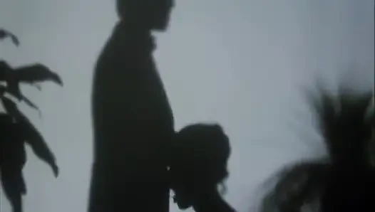 Neşeli bir dul - cilt. - (yumuşak versiyon)