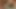 Hairy chubby amateur redhead stepmom fucking hot a young big