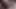 Candie Cross gave me a dirty blowjob and swallowed all my cum