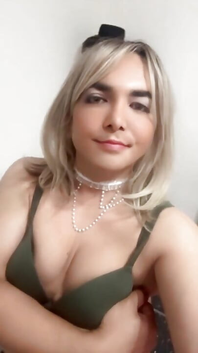 Sahibe Travesti