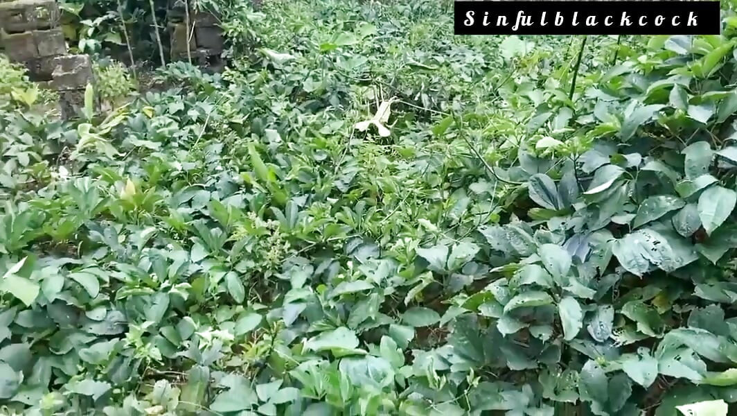 Ebony Big Ass Bitch Dancer in Outdoor Fuck