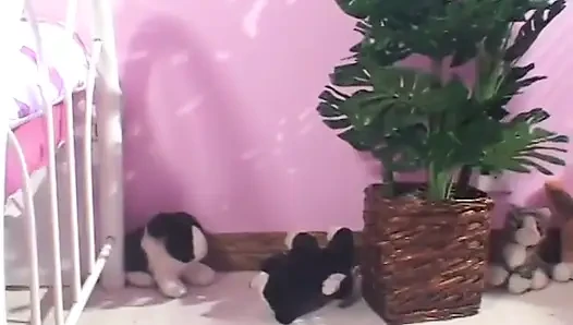 Geile brünette wird nass, als ein typ ihre muschi lutscht