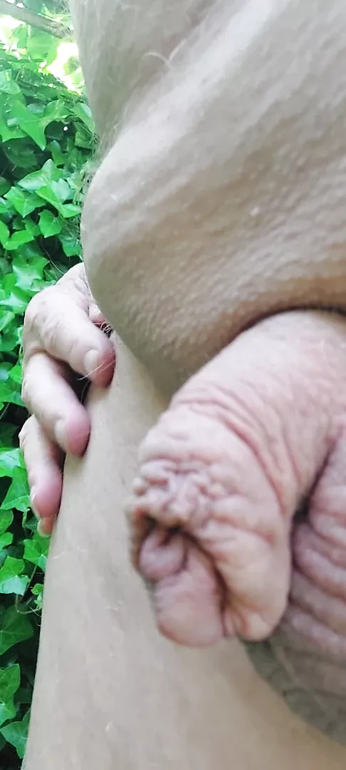 Pulă mică