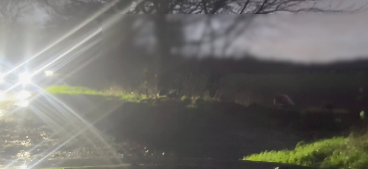 Gola i bosa, skrivajući se od automobila u prolazu, drkajući i twerkajući