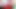 Eating cock !! Red lips Highly sensual blowjob !! Chew dick Her hobby is sucking a pulsating cock. Detailed close-up Gentle Blow