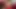 Abanoz tiffany staxxx – oyuncaklar ve siyah horoz ile bbw
