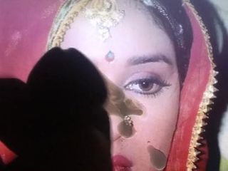 Indische Promi-Madhuri Dixet Sperma-Hommage
