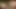After the illustration the aroused milfs started fucking and let their passions speak for themselves