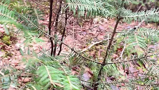 Muschi Pisst Wasser Auf Den Felsen