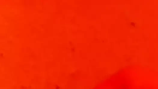 Lolamilf6666'ya övgü