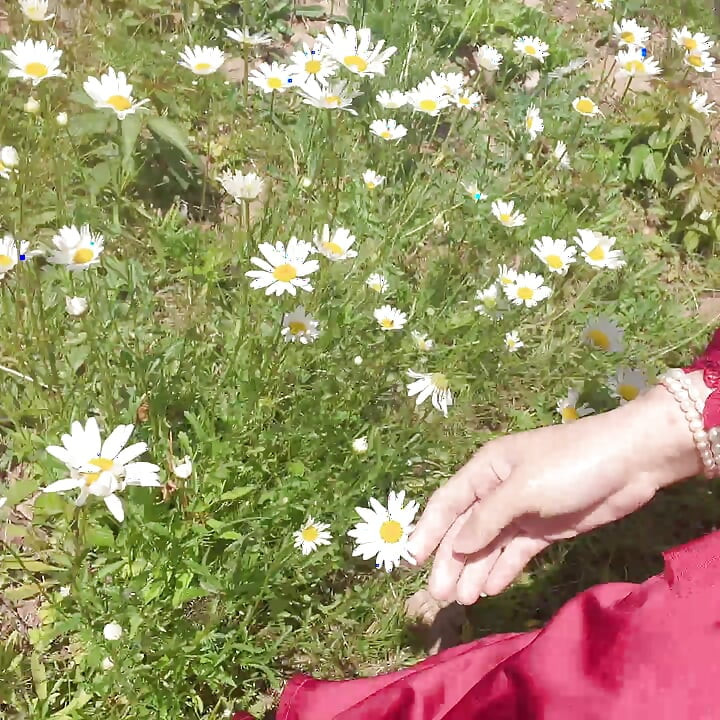 piss for gardend on the grass beautifull