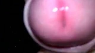 PreCum Squirt - Must see