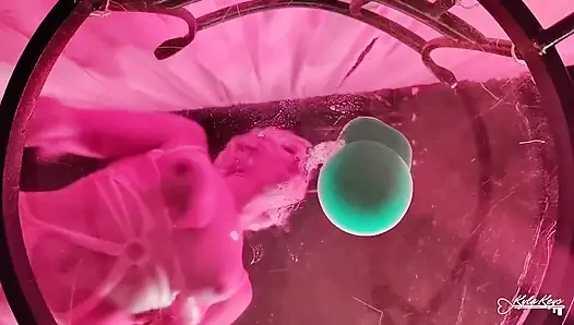 A View From the Bottom