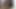 A Big SSBBW Slut Screams Like a Pig!
