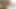 Vn20250212_024405