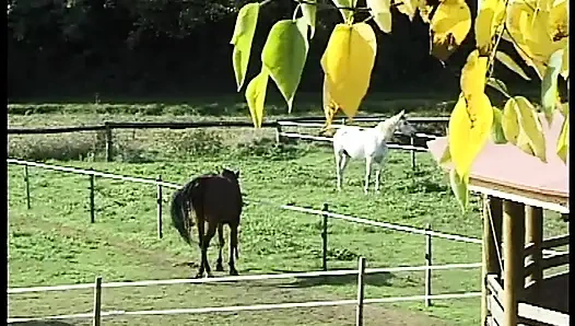 Keinginan anal pelacur yang sedang panas