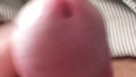sperm sıralama