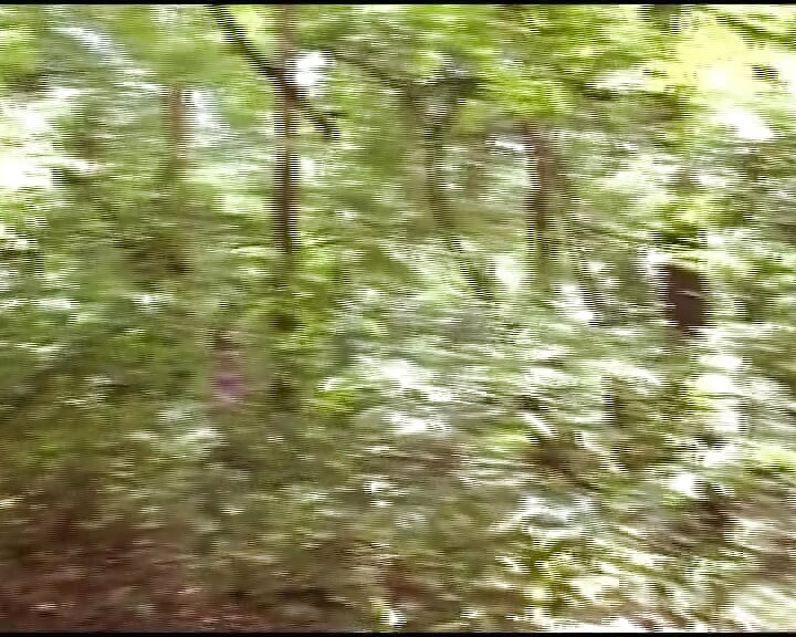 German bitch gets a facial after solo action in the woods