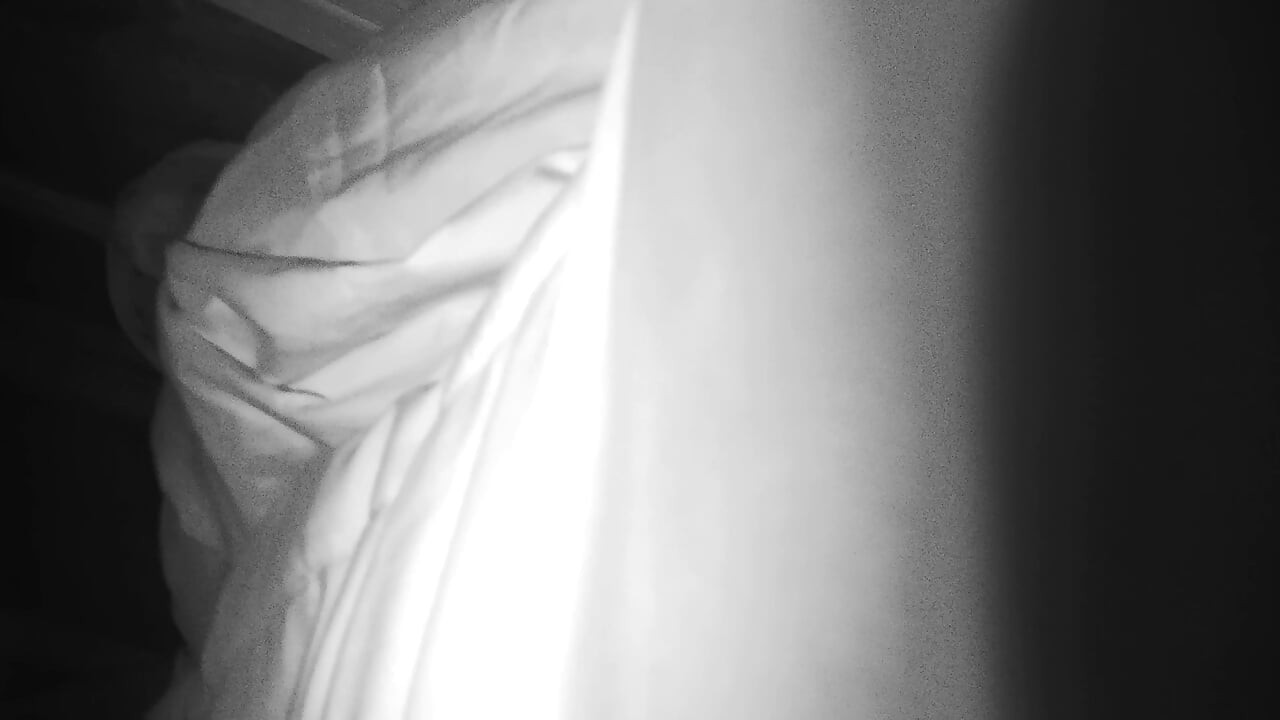 아빠의 자지를 빨아