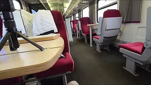 Adrenalin Im Zug. Auf Der Toilette Erwischt.