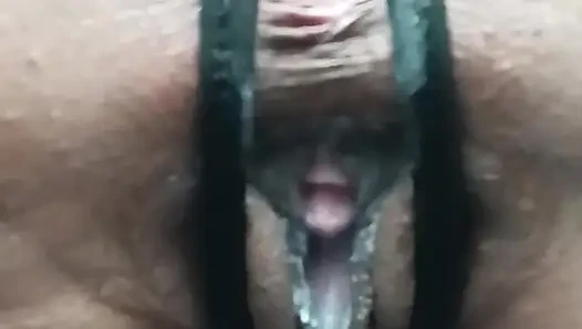 Pussy Comp
