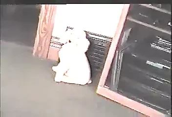 Medvědí orgie