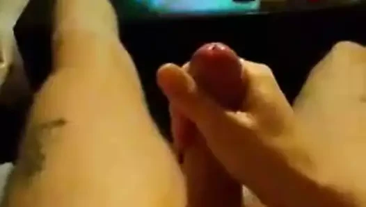 İsveçli böcek twinks