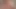 Lanet büyük bir yapay penis – sallysecret yakın çekim, kedi