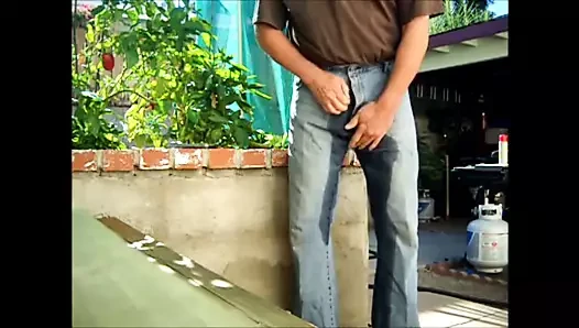 Pissen in meine Hose