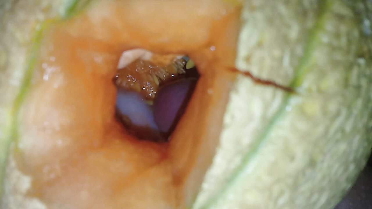 Cum into melon