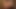 ホットセクレタリーからフェラチオを受ける
