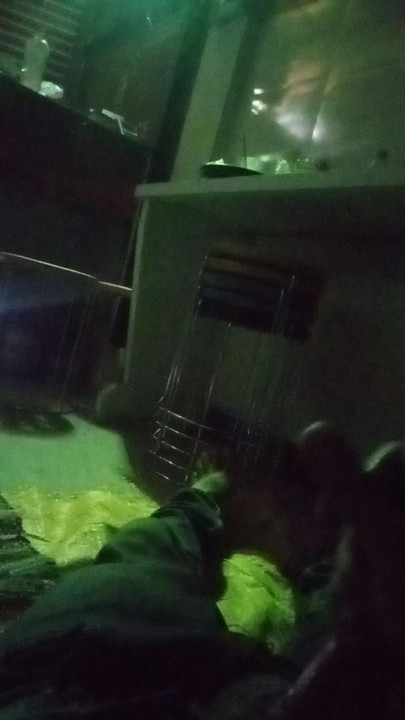 I love ass fucking my timeing is long do u have